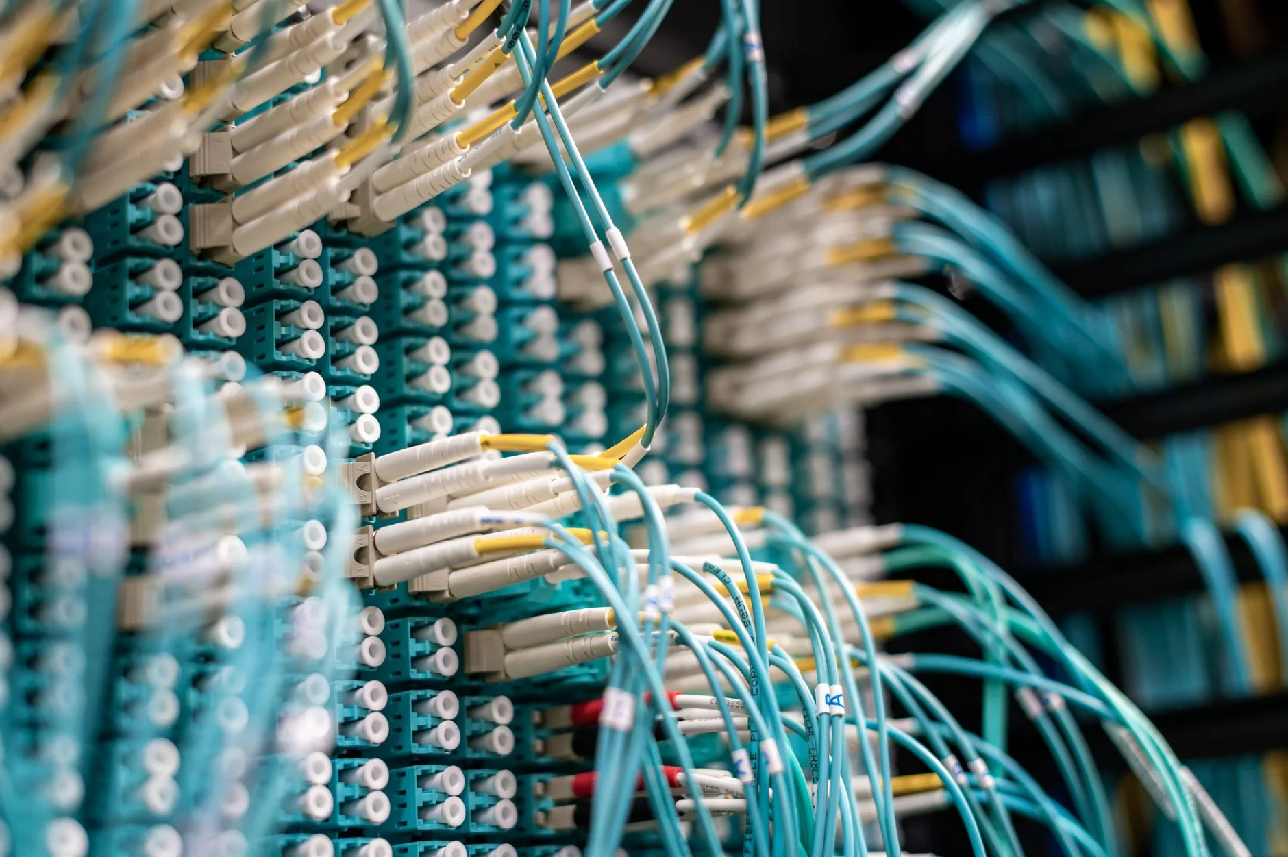 Cavi di rete collegati a un server rack aziendale